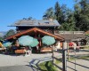 10008023