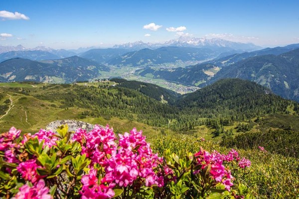 alpenwelt_flachau_850051012_051222_41254_3.JPG