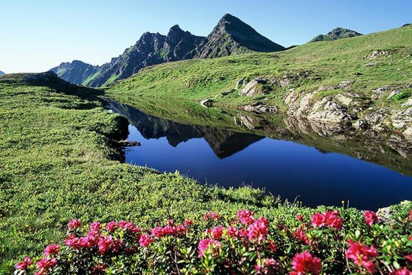 alphof_alpbach_alpbach_060521_14533_13.JPG