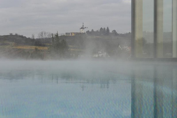 althof_retz_161116_12532_11.JPG