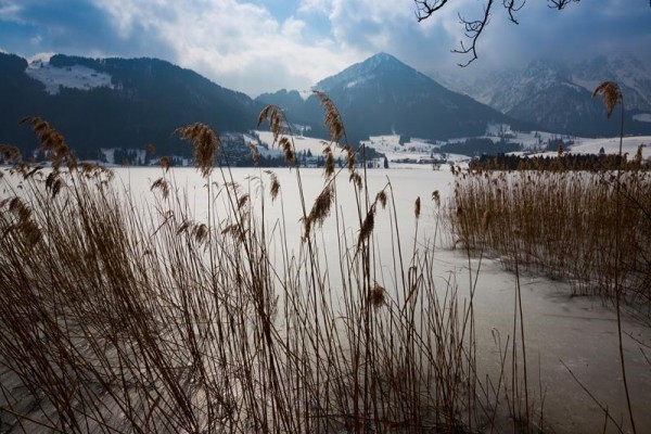 bellevue_walchsee_walchsee_010616_16859_17.JPG