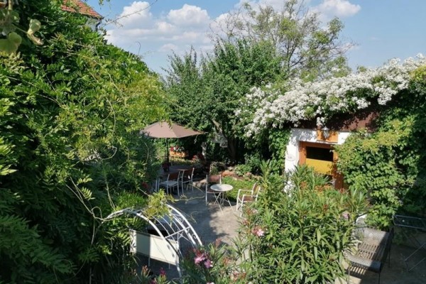 ch_am_see_morbisch_am_see_754001564_240122_33021_5.JPG