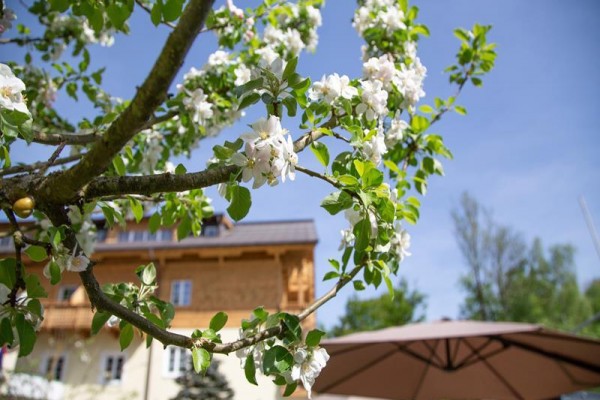 forsterhof_st._wolfgang_354_060722_37777_15.JPG