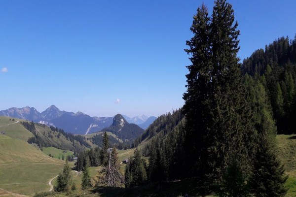 sonnhof_lofer_lofer_030717_13182_3.JPG